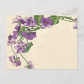 Carte Postale Elégante Réception Budget Invitation (Dos)