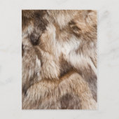Carte Postale Élégante texture de fourrure (Devant)