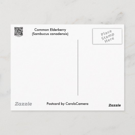 Carte Postale Éléments communs de coordination des airelles (Dos)