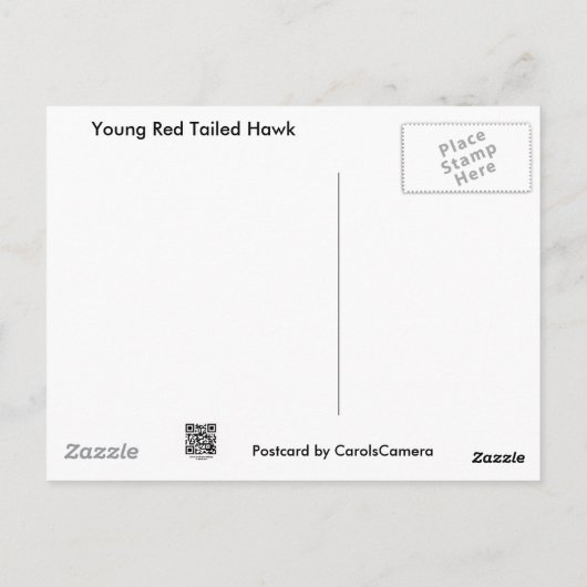 Carte Postale Éléments de coordination de la Buse à queue rouge (Dos)