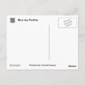 Carte Postale Éléments de coordination de la plume de gris bleu (Dos)