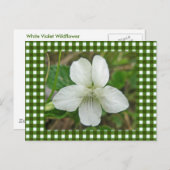 Carte Postale Éléments de coordination de violet sauvage blanc (Devant / Derrière)