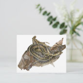 Carte Postale Eléments de coordination des serpents-garets de l' (Debout devant)