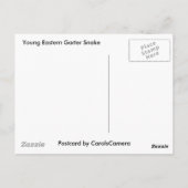 Carte Postale Eléments de coordination des serpents-garets de l' (Dos)