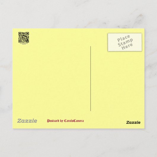 Carte Postale Éléments de coordination diurne rouge (Dos)