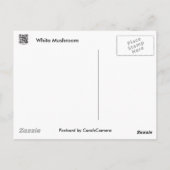 Carte Postale Éléments de coordination du champignon blanc (Dos)
