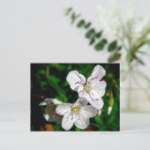 Carte Postale Éléments de coordination du Fleur sauvage de beaut (Debout devant)