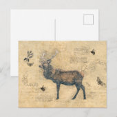 Carte Postale Éléments découpés vintage de wapiti (Devant / Derrière)