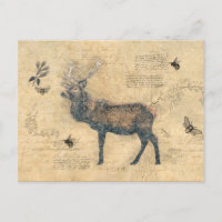 Éléments découpés vintage de wapiti