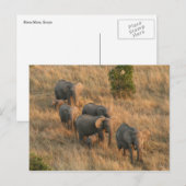 Carte Postale éléphant (Devant / Derrière)