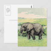 Carte Postale Eléphant (Devant / Derrière)