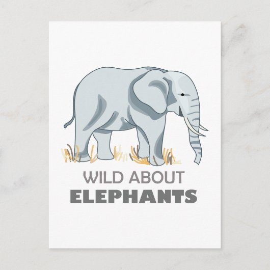 CARTE POSTALE ÉLÉPHANT (Devant)