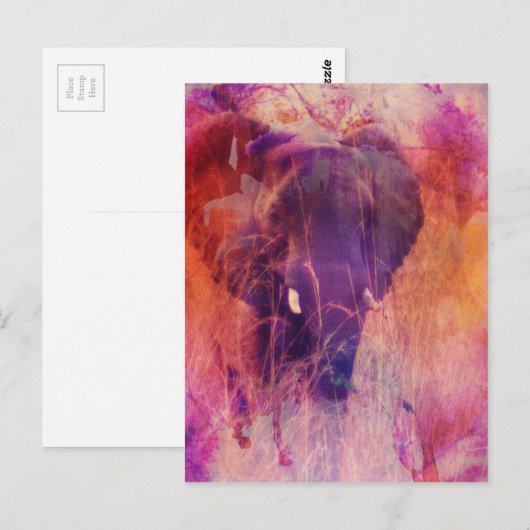 Carte Postale Eléphant (Devant / Derrière)