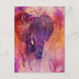Carte Postale Eléphant