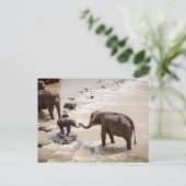 Carte Postale Éléphant (Debout devant)