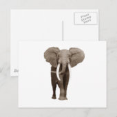 Carte Postale Eléphant (Devant / Derrière)