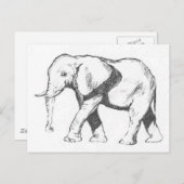 Carte Postale Eléphant (Devant / Derrière)