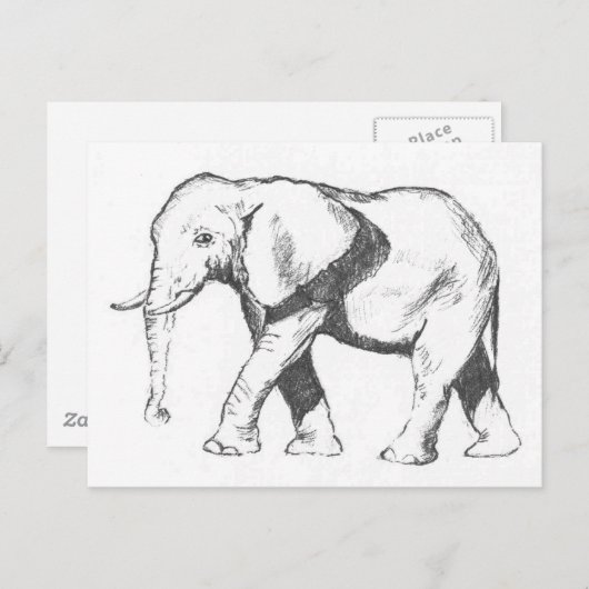 Carte Postale Eléphant (Devant / Derrière)
