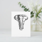 Carte Postale éléphant (Debout devant)