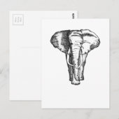 Carte Postale éléphant (Devant / Derrière)