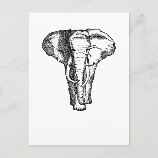 Carte Postale éléphant (Devant)