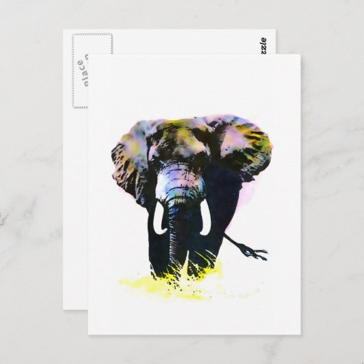 Carte Postale Eléphant (Devant / Derrière)