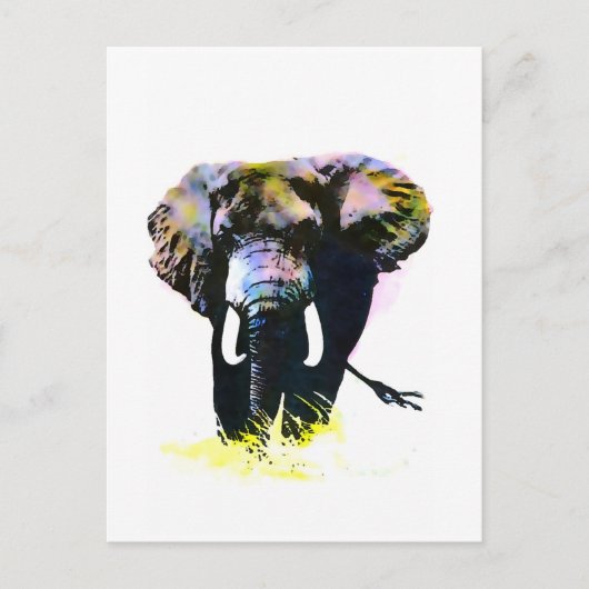 Carte Postale Eléphant (Devant)