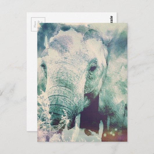 Carte Postale Eléphant (Devant / Derrière)