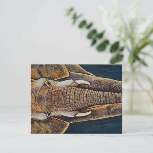 Carte Postale Eléphant africain (Debout devant)