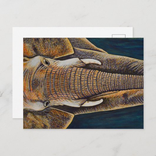 Carte Postale Eléphant africain (Devant / Derrière)