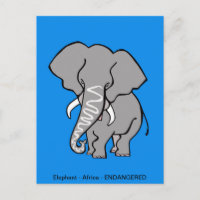 ELEPHANT africain - Conservation - écologie - Bleu