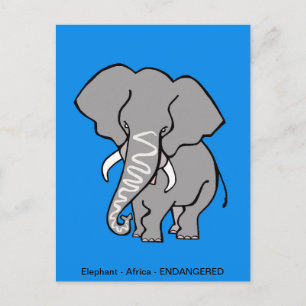 Carte Postale ELEPHANT africain - Conservation - écologie - Bleu