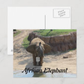 Carte Postale Eléphant africain n° 6 (Devant / Derrière)
