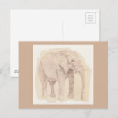 Carte Postale Elephant Art Sketch (Devant / Derrière)