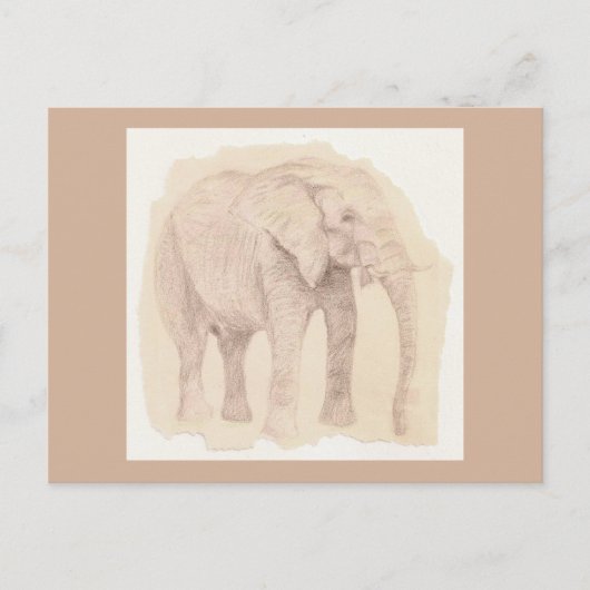 Carte Postale Elephant Art Sketch (Devant)