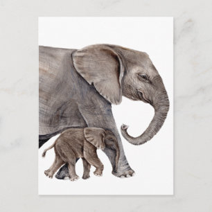 Carte Postale Eléphant avec bébé éléphant