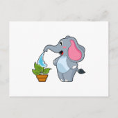 Carte Postale Éléphant avec plante (Devant)