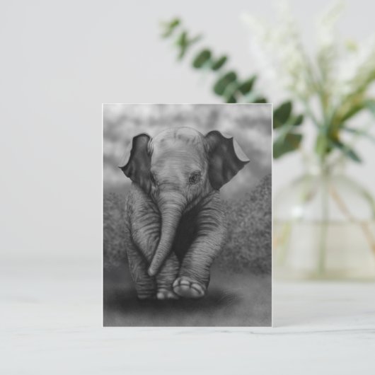Carte Postale Eléphant bébé (Debout devant)