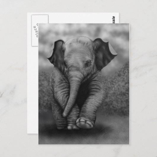 Carte Postale Eléphant bébé (Devant / Derrière)