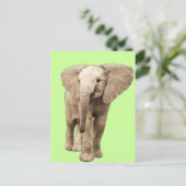 Carte Postale Eléphant Bébé mignon (Debout devant)