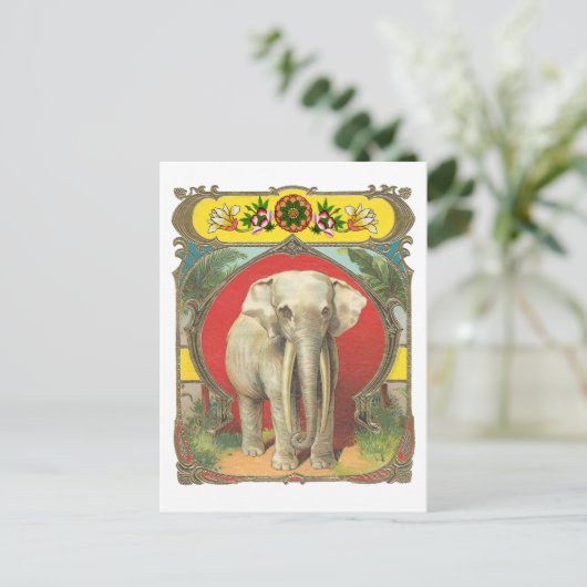 Carte Postale Eléphant blanc (Debout devant)