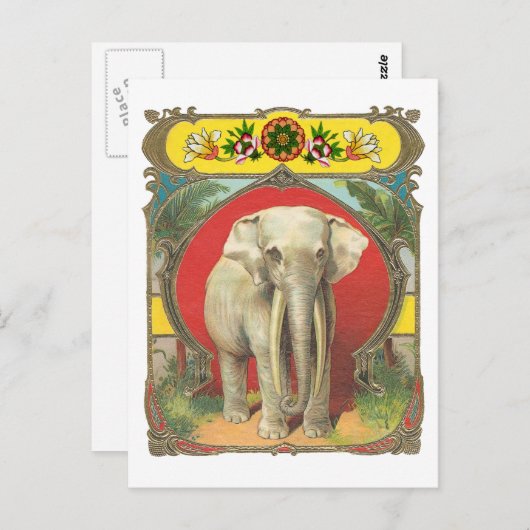 Carte Postale Eléphant blanc (Devant / Derrière)