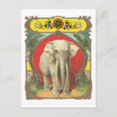 Carte Postale Eléphant blanc (Devant)