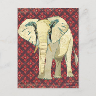 Carte postale Eléphant Blanc