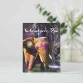 Carte Postale Éléphant Coloré Cascade (Debout devant)