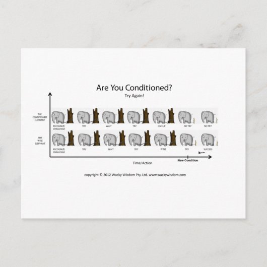Carte Postale Éléphant conditioné (Devant)