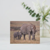 Carte Postale Éléphant d'Afrique avec bébé (Debout devant)