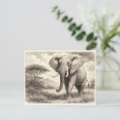 Carte Postale Éléphant d'Afrique. Collectionnable  (Debout devant)