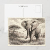 Carte Postale Éléphant d'Afrique. Collectionnable  (Devant / Derrière)