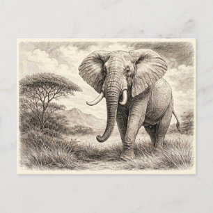 Carte Postale Éléphant d'Afrique. Collectionnable